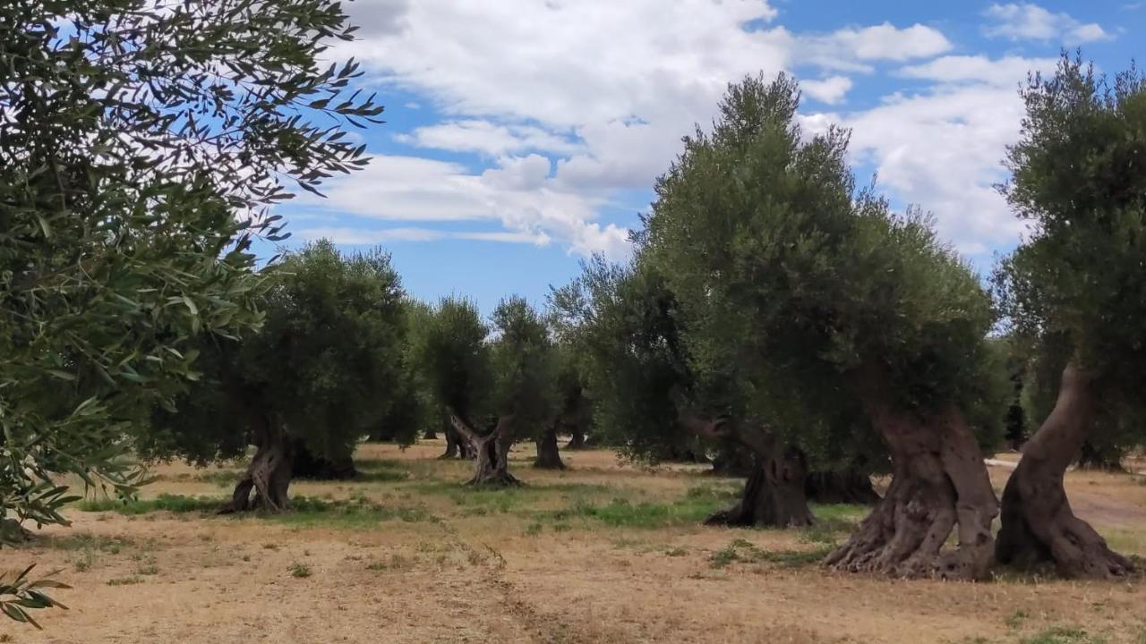 Ych-Le Grotte Di Sileno Bed & Breakfast Castellaneta Dış mekan fotoğraf